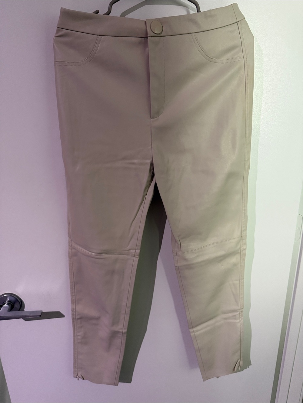 Zara Women's Leather Like Skinny Jeans in Taupe